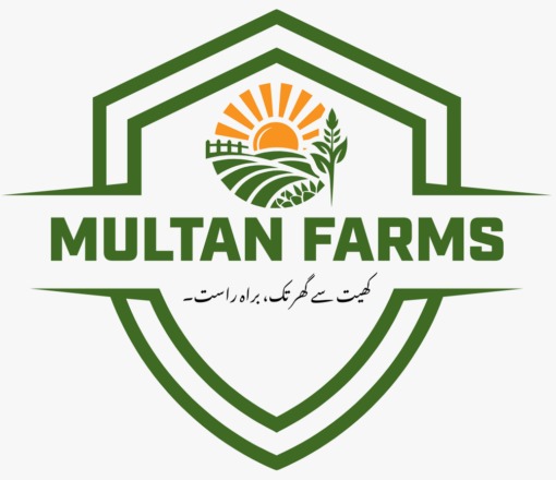 Read more about the article Franchise & Distribution Opportunities with Multan Farms